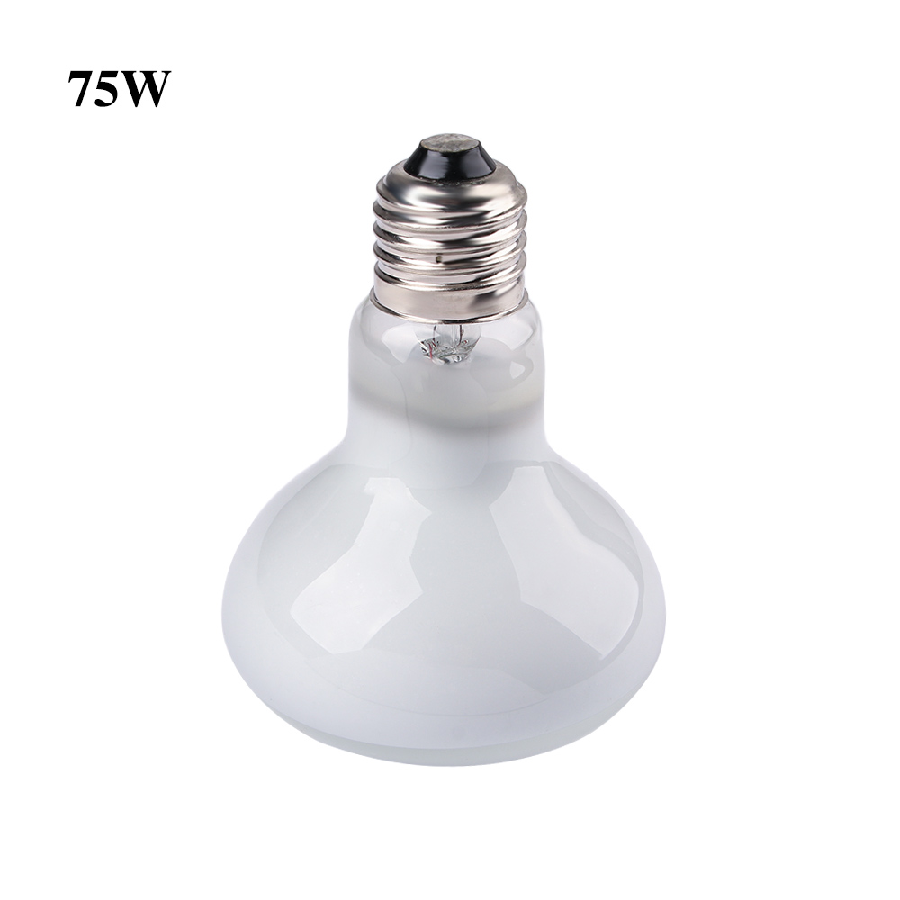 Turtle Heat Lamp Heater Haloge - Basking Bulb Halogen ulasan dan harga