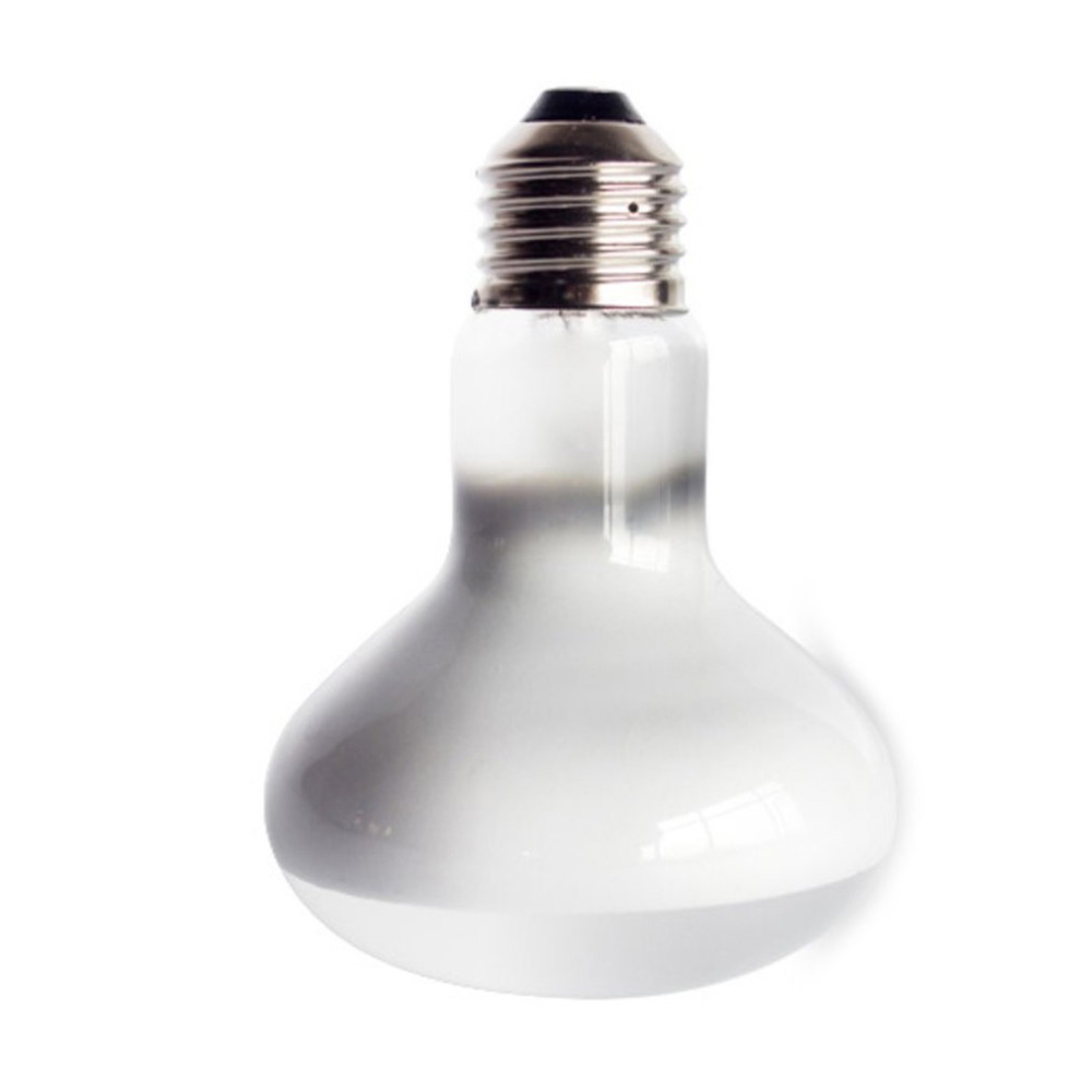 Turtle Heat Lamp Heater Haloge - Basking Bulb Halogen ulasan dan harga