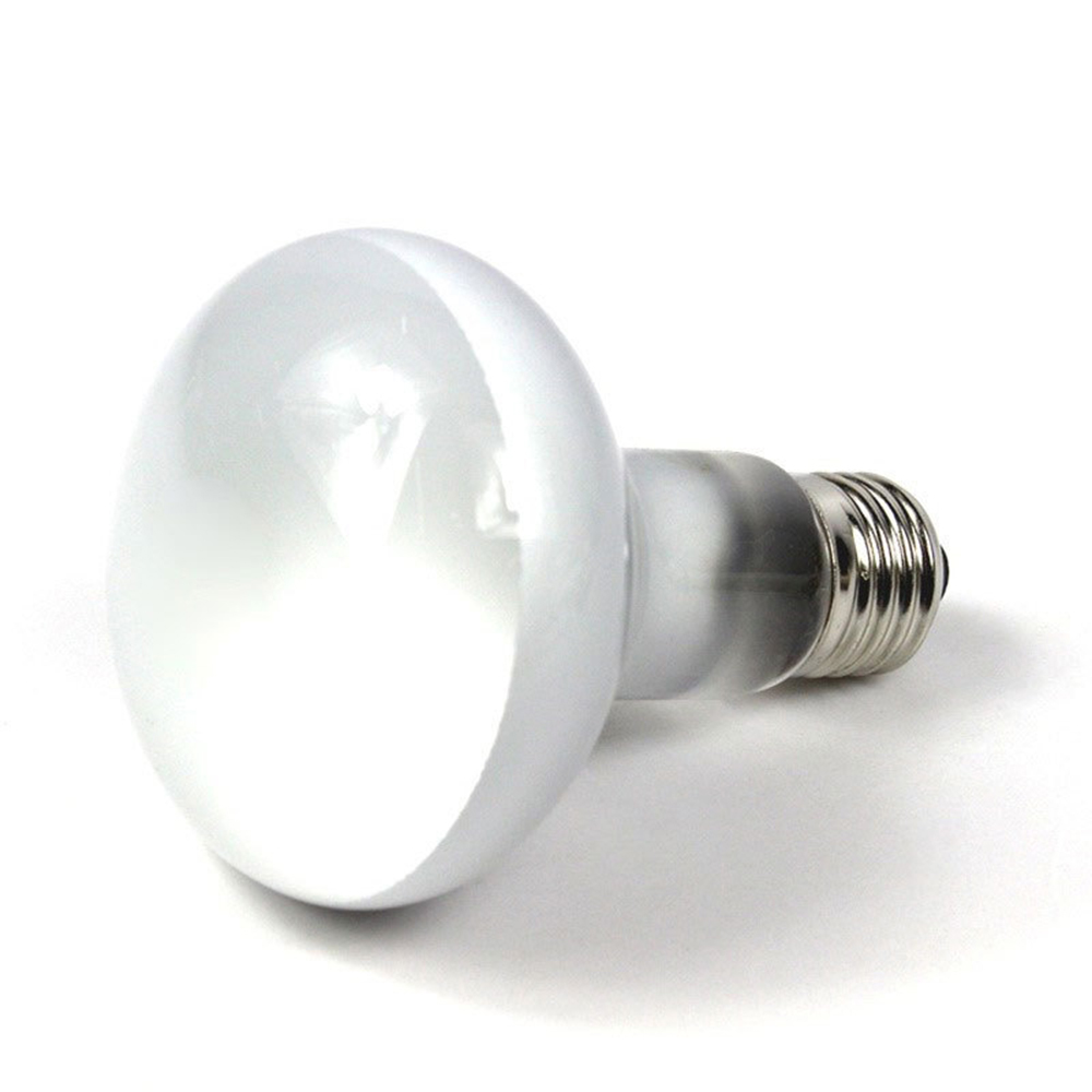 Turtle Heat Lamp Heater Haloge - Basking Bulb Halogen ulasan dan harga